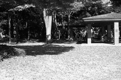 DSC_doho0002