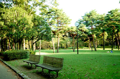 DSC_0032dosanite