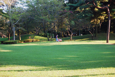 park1