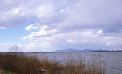 DSC_0055 のコピー