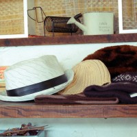 11DSC_2794